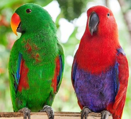 1564286171860420.png image.png